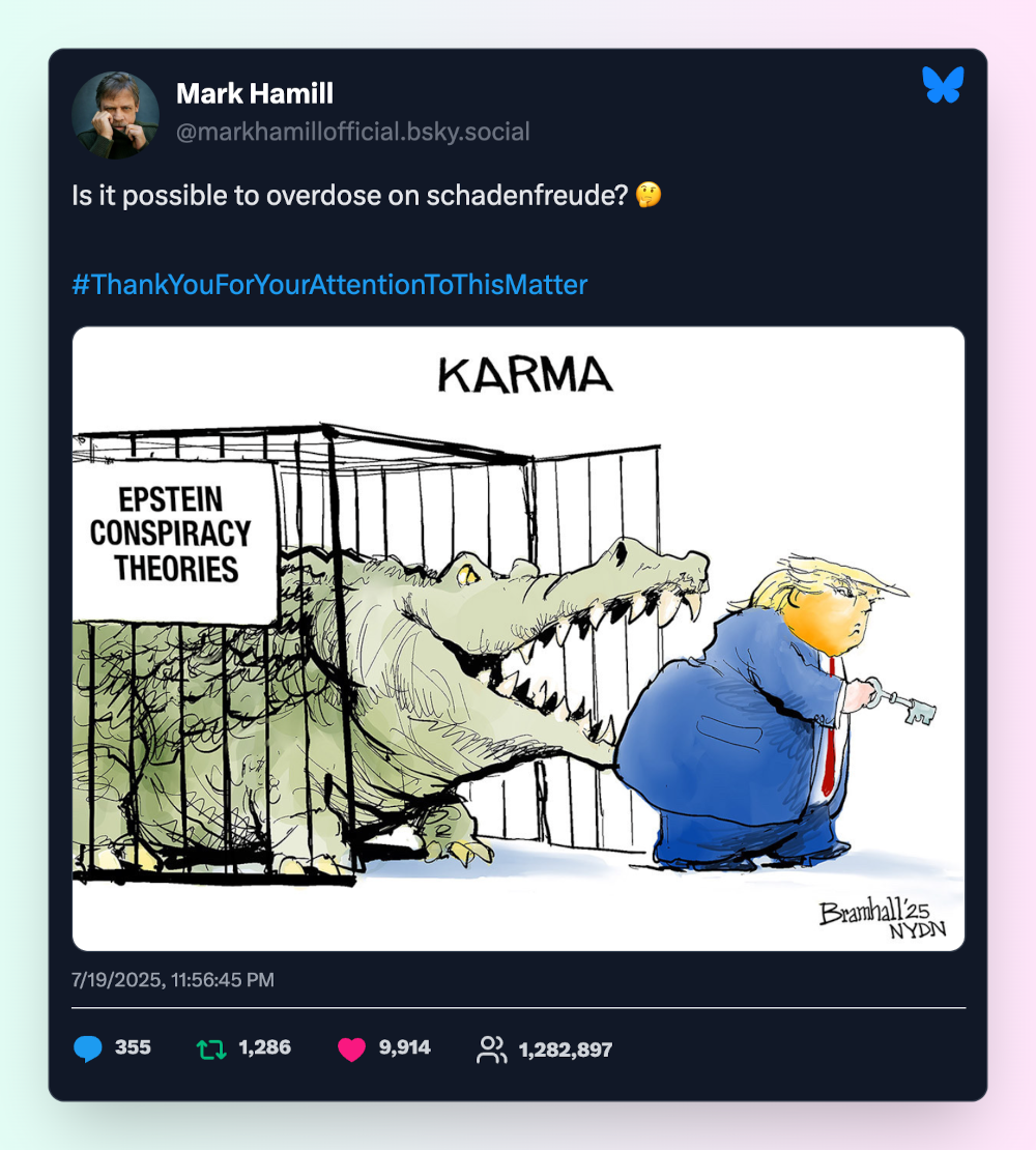 Bluesky screenshot example